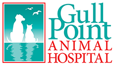 Tail Docking - Gull Point Animal Hospital